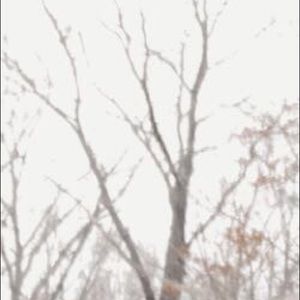 Meet your Posher, Abbey